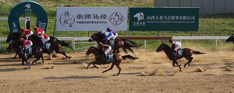 山西玉龙投资集团有限公司